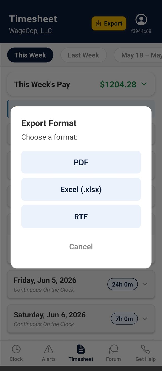 WageCop export dialog offering PDF, Excel and RTF formats.
